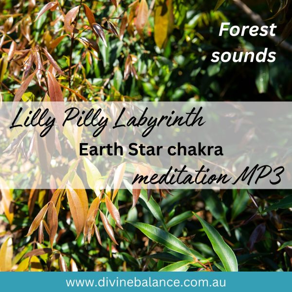 Lilly Pilly Labyrinth meditation